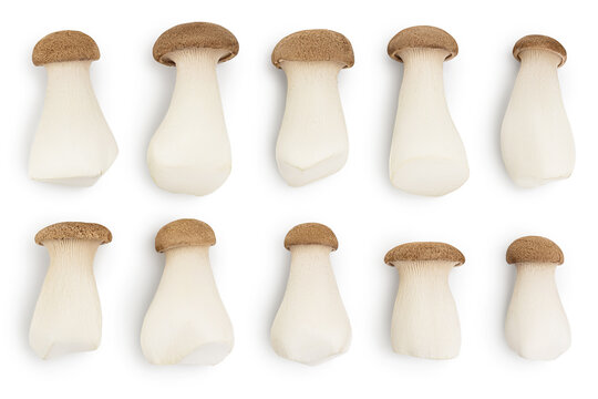 King Oyster mushroom or Eringi isolated on white background with clipping path. Top view. Flat lay, Set or collection