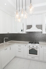 Beautiful kitchen interior with new stylish furniture