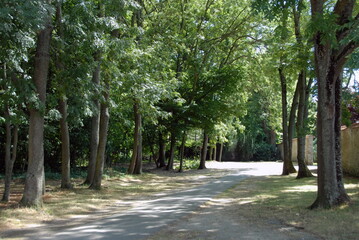 Pontault-Combault, allée dans le parc, département de Seine-et-Marne, France
