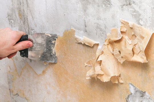 A man removes old wallpaper with a spatula and a spray bottle with water.