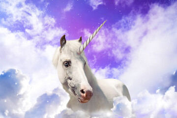 Obraz na płótnie Canvas Magic unicorn in fantastic sky with fluffy clouds