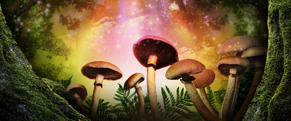 Obraz na płótnie Canvas Fantasy world. Mushrooms lit by magic light in enchanted forest, banner design