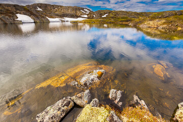 Fototapeta na wymiar Beautiful arctic summer landscape on Barents sea shoreline.