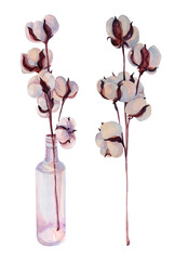 Set watercolor branch cotton in glass vase isolated on white background. Art creative object for sticker, wedding, celebration, wrapping, wallpaper, post card