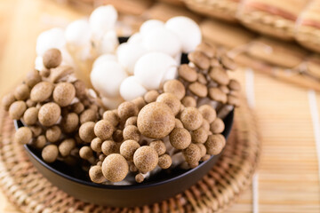 Fresh brown and white Shimeji mushroom in a bowl, Asian mushroom