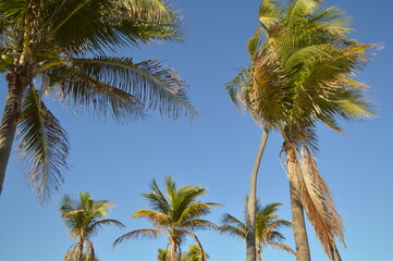 A cloudless winter day in Florida. 