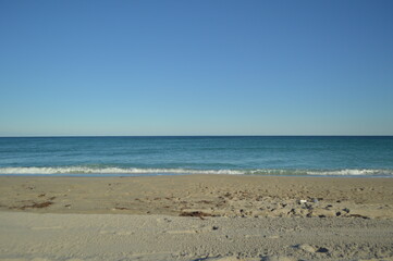 Fototapeta na wymiar A cloudless winter day in Florida. 