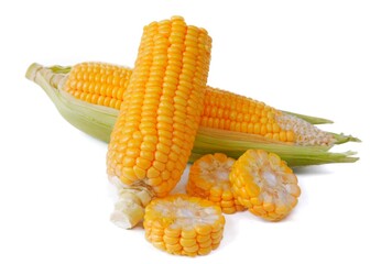 Fresh corn (Zea mays), on a white background