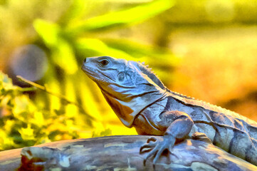 Iguana close up view colorful painting looks like picture.