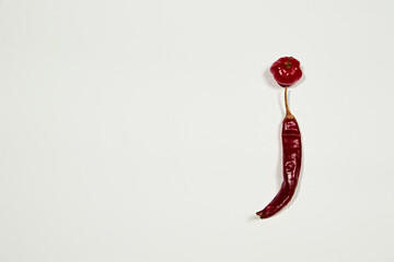 Red hot chilli peppers on white background