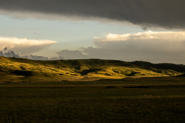 Late Afternoon Light Over the Fields of South Dakota