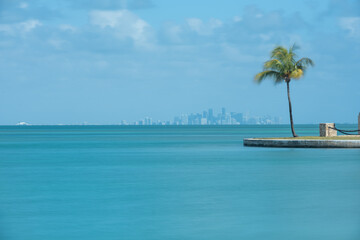 Long Exposure of Waving Palm and Miami Skyline