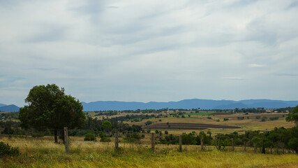 Fototapeta na wymiar Panoramic rural landscape with fence in the foreground and blue tinged mountains in the distance. Overcast sky. Scenic Rim, Queensland, Australia.