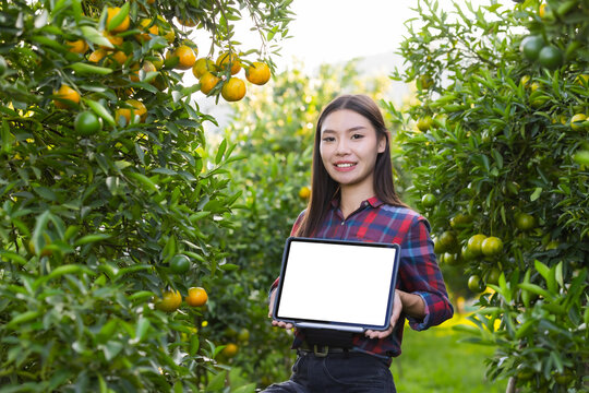 Customer can buy orange or booking through channel application and pay using QR code scanning system payment.Technology and futuristic business. E wallet and digital cashless concept.