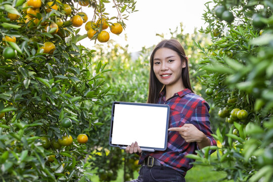 Customer can buy orange or booking through channel application and pay using QR code scanning system payment.Technology and futuristic business. E wallet and digital cashless concept.