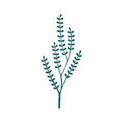 Hand drawn vector floral elements leaves, flowers, branches. Botanical illustration.