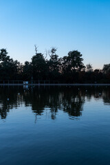 Fototapeta na wymiar Reflections in deep blue water symmetry silhouette landscape nature alley park shore forest island