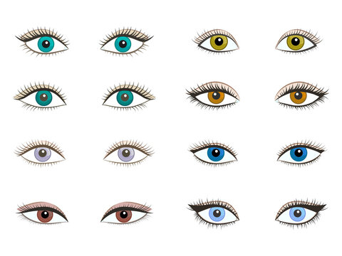 Vector set of different women different beautiful eyes. Isolated object on white background. Color image.