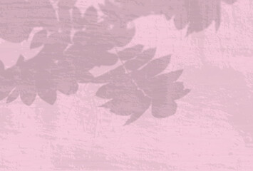 Natural light casts shadows from a Rowan branch against a pink wall. The effect of shadows. Transparent soft light and shadows from the branches