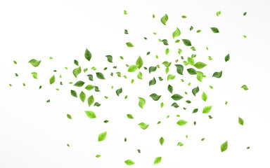 Lime Leaf Spring Vector White Background Banner. 