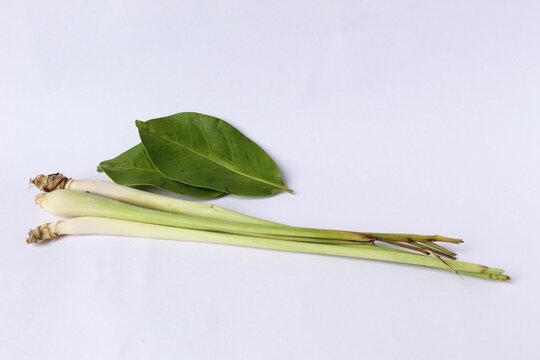 lemongrass and bay leaf seasoning herbs object with isolated background