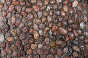 Wet Stones Coral Texture Background