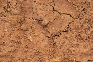 textura de terra seca rachada