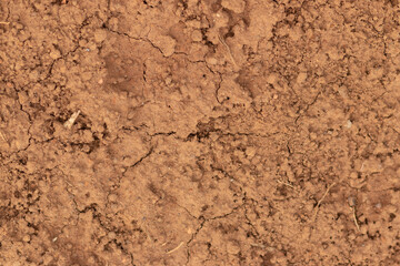 textura de terra