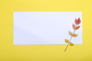 Colorful leaf and empty white paper with a colored background
