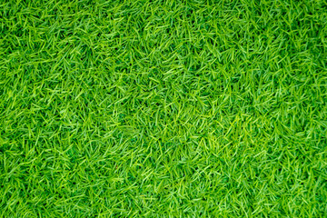 Green artificial grass natural