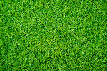 Green artificial grass natural