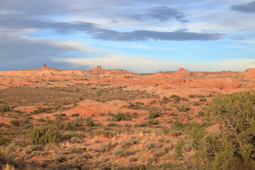 Desert flora and landscape, Arches National Park, Utah