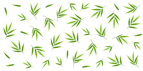 Bamboo decoration. Background with foliate pattern.