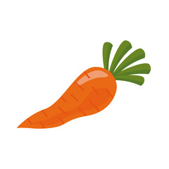 fresh carrot vegetable healthy food icon