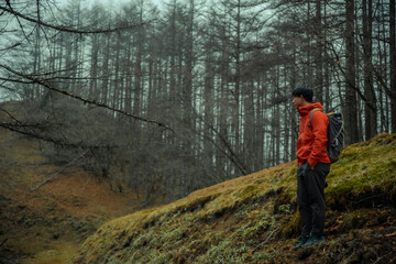 Fototapeta premium 霧中登山