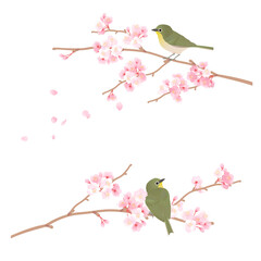 桜の枝に止まるかわいい野鳥メジロのベクターイラスト