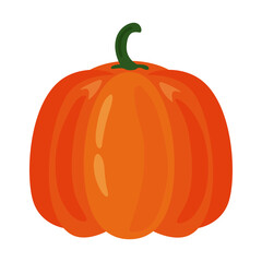 fresh pumpkin fruit healthy food icon