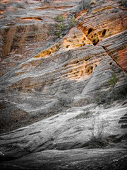 Late autumn colors and textures of Zion Canyon, southwest Utah