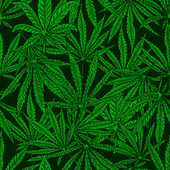 Seamless pattern with cannabis leaves. For poster,card, banner, flyer. Vector illustration