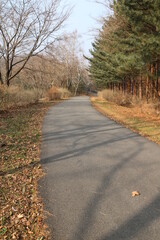 country road in autumn