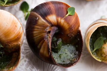 Escargot platter, delicious french delicatessen