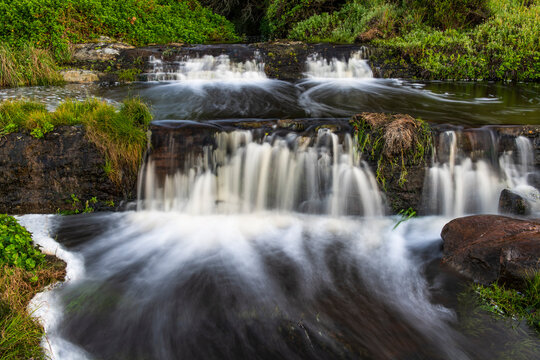 A waterfall in the coastal forest