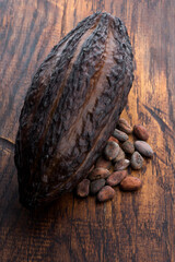 Cocoa (cacao) beans on a beanpod with focus on foreground.