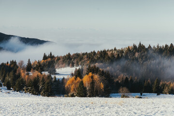 Foggy autumn-winter nature landscape. Changing the seasons.Misty forest.