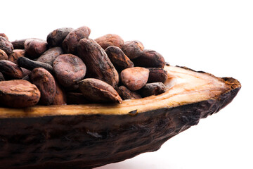 Cocoa (cacao) beans on a beanpod with focus on foreground.