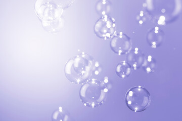 Transparrent soap bubbles float on purple background.
