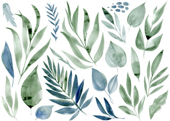 Wild plants, abstract leaves watercolor sketch