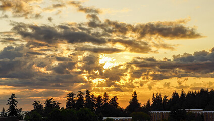 Fototapeta premium Summer Sunset