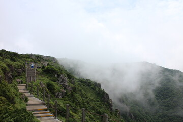 waterfall in the fog