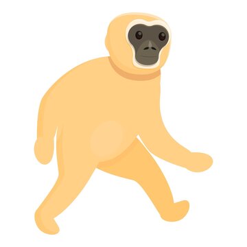 Gibbon walking icon. Cartoon of gibbon walking vector icon for web design isolated on white background